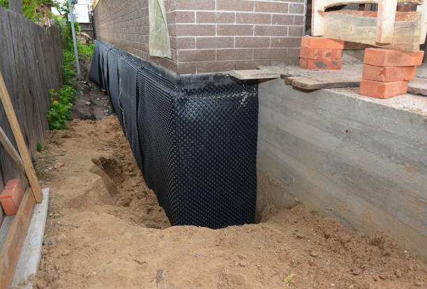 Happy homeowners after waterproofing job in Lisle